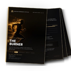 Bottleneck Analysis · The Burner