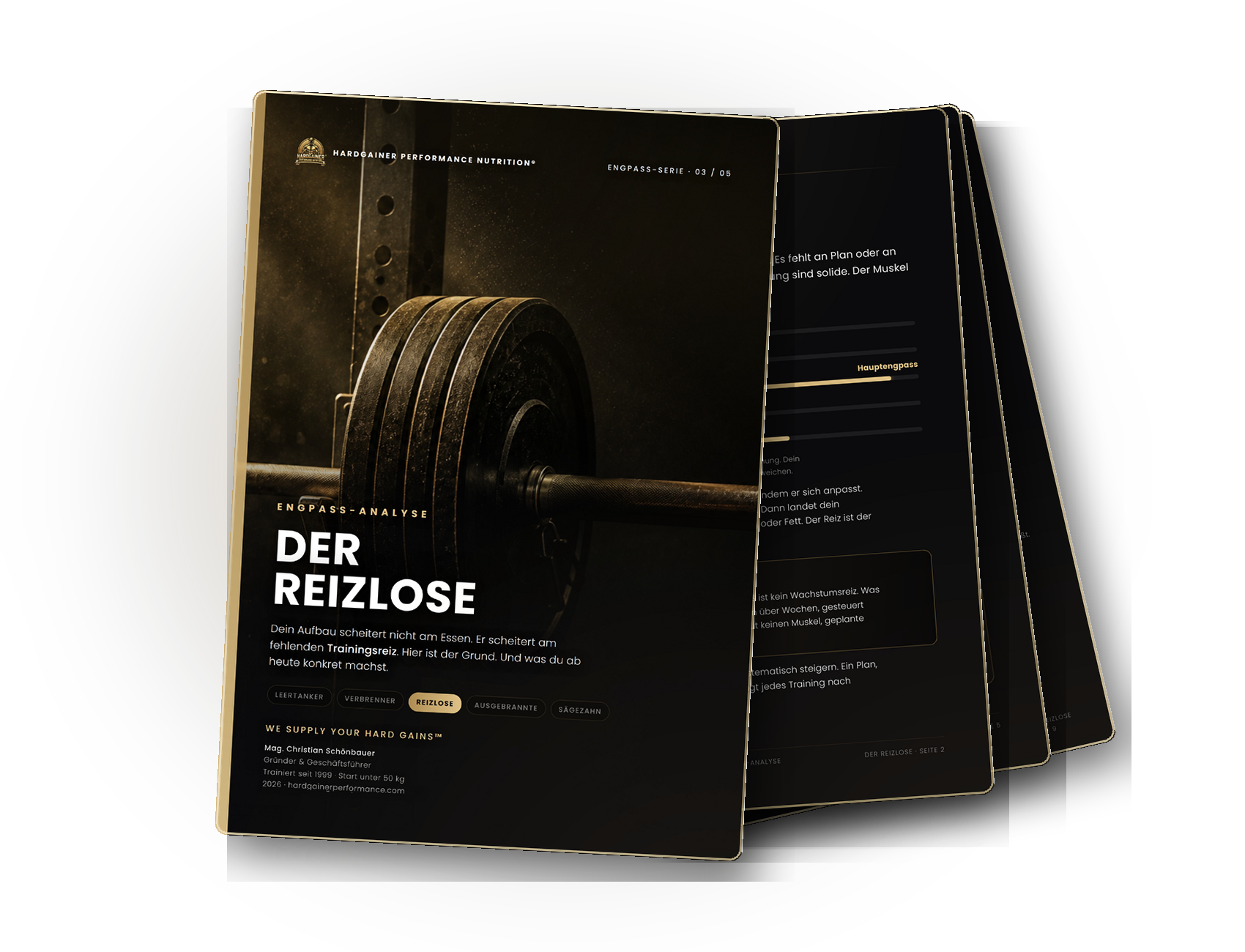 Engpass-Analyse · Der Reizlose