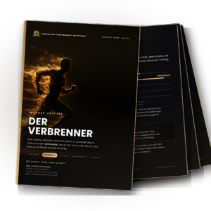 Engpass-Analyse · Der Verbrenner