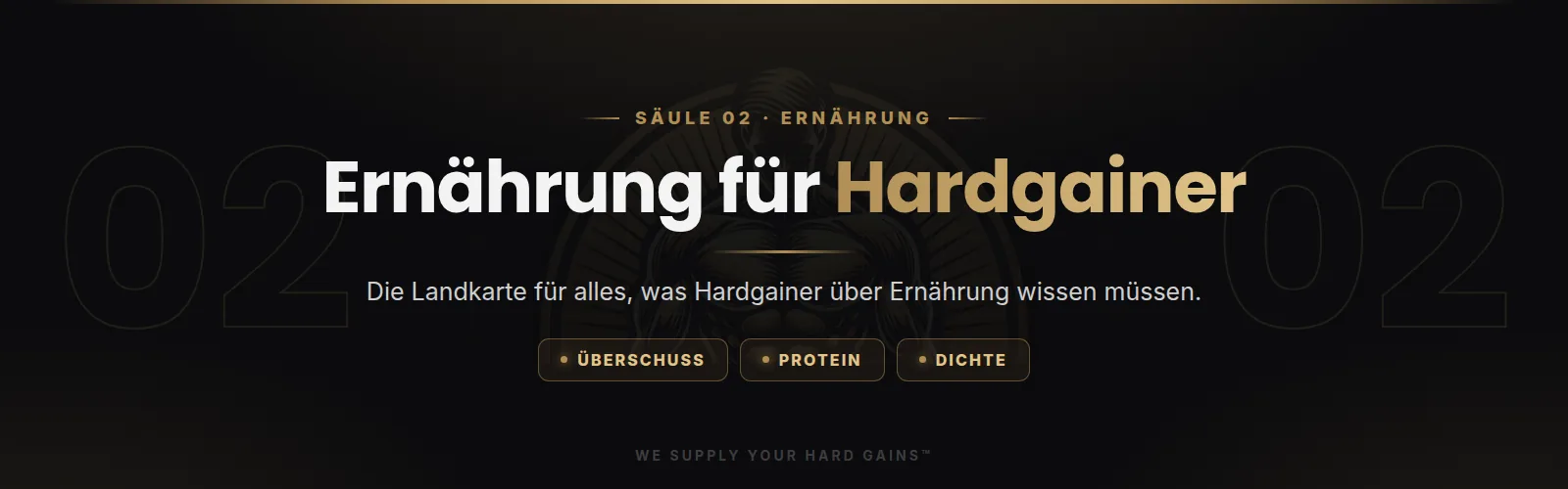 Ernährung für Hardgainer, die 5 Säulen für sauberen Muskelaufbau