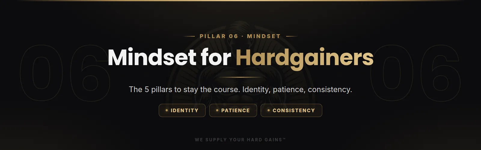 Mindset for hardgainers, the five pillars to stay the course