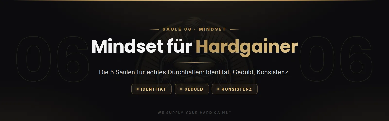 Mindset für Hardgainer, die 5 Säulen für echtes Durchhalten