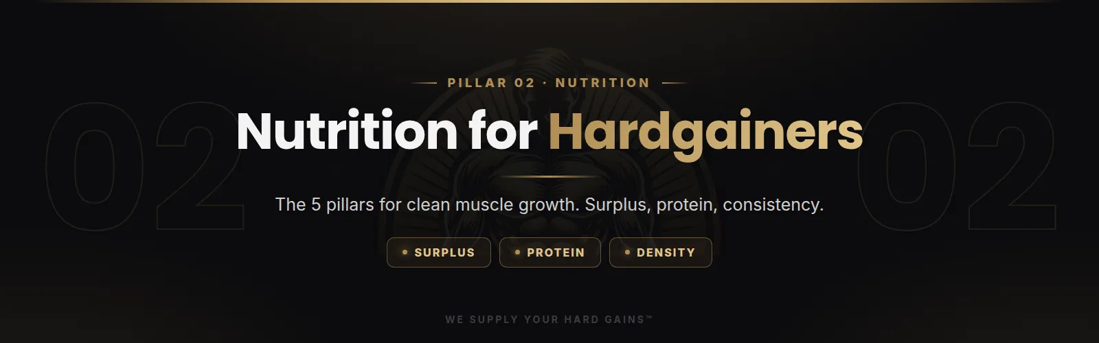 Nutrition for hardgainers, the 5 pillars for clean muscle growth