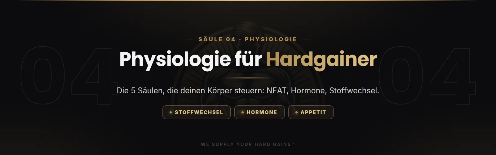 Physiologie für Hardgainer, die 5 Säulen des Körpers