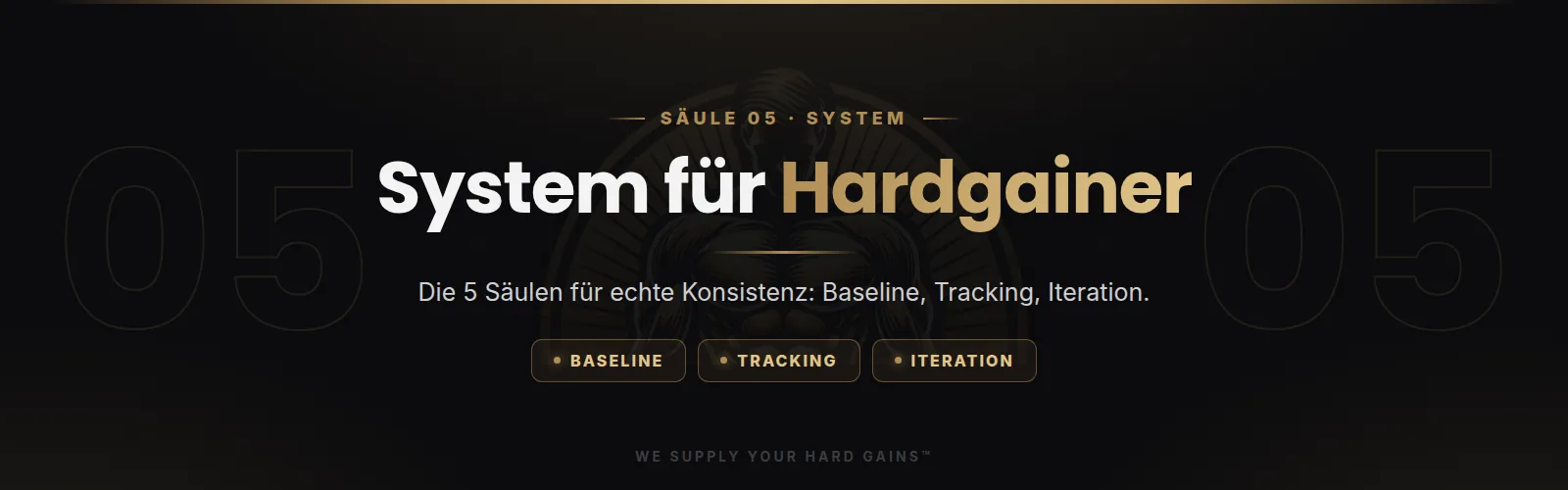 System für Hardgainer, die 5 Säulen für echte Konsistenz