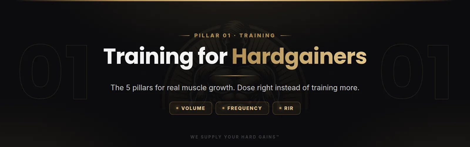 Training for hardgainers, the 5 pillars for real muscle growth