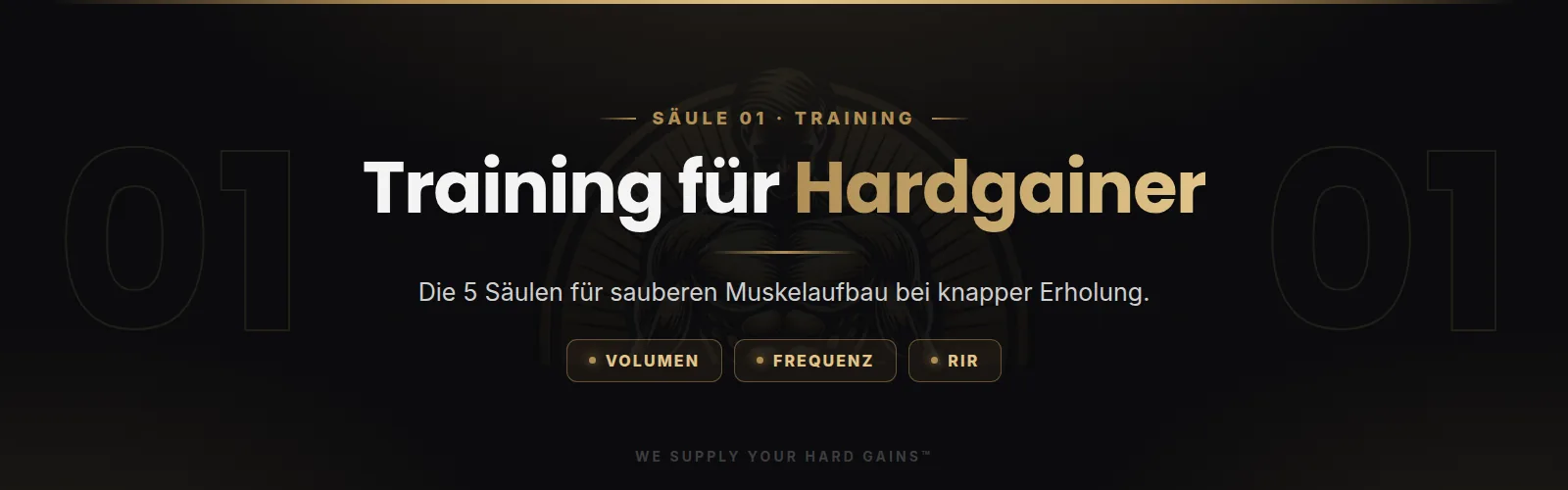 Training für Hardgainer, die 5 Säulen für sauberen Muskelaufbau